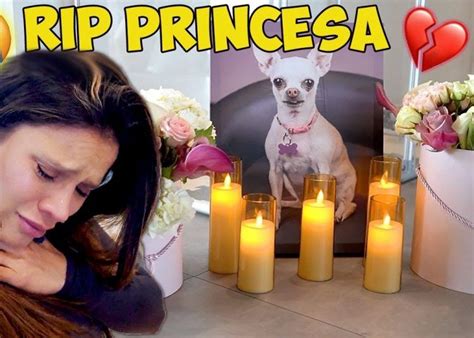 royalty family gucci died|the royalty family dog died.